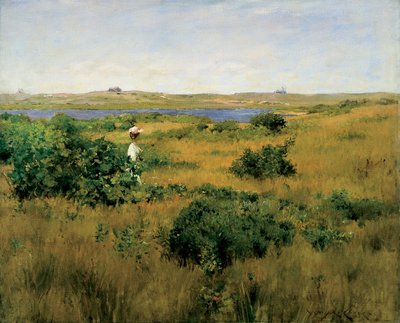 Zomer in Shinnecock Hills door William Merritt Chase